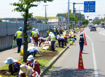 町道・道々・バイパスの草取り