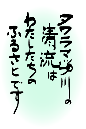 タワラマップ川の清流はわたしたちのふるさとです